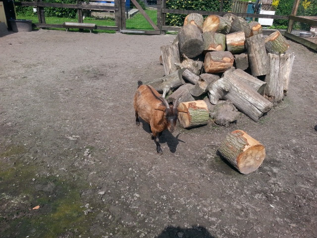 ../fotos/het_verlaat_2016/2016-06-28 15.59.57.jpg